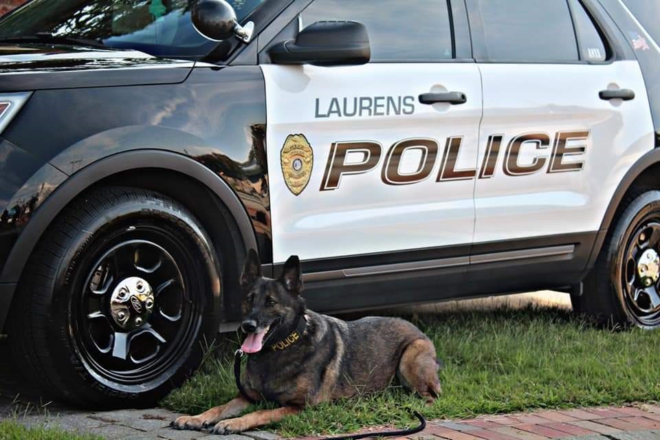 retired police canine foundation