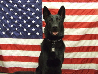 Retired Police Canine Foundation